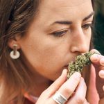 weed delivery toronto