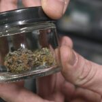 cheap cbd flower