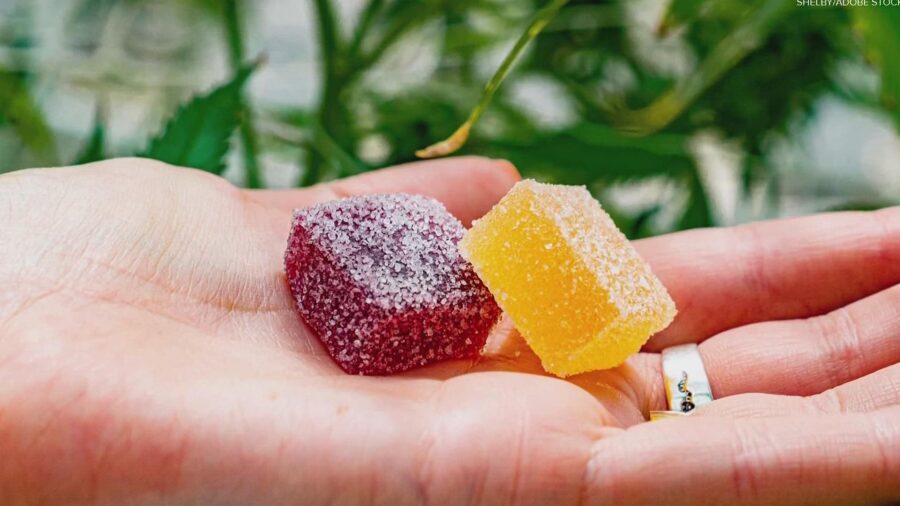 Understanding Delta 8 Gummies: A Comparative Look at THC Effects
