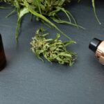 Live Resin Carts: A Natural Boost for Swimmers’ Endurance and Focus
