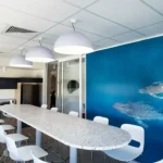 Professional Builders: Quality Service in Nowra