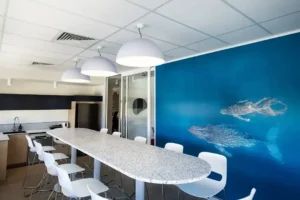 Professional Builders: Quality Service in Nowra